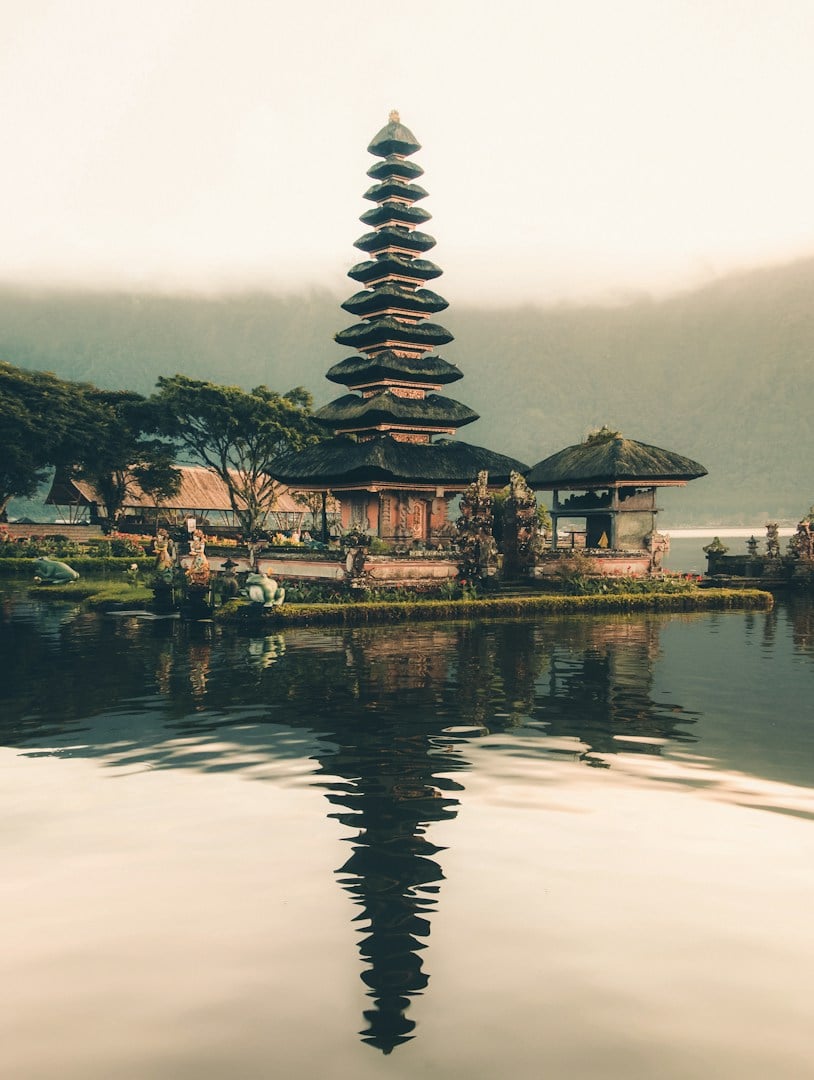 बाली में नारियल के पेड़ों के बीच पूल वाला ट्रॉपिकल विला